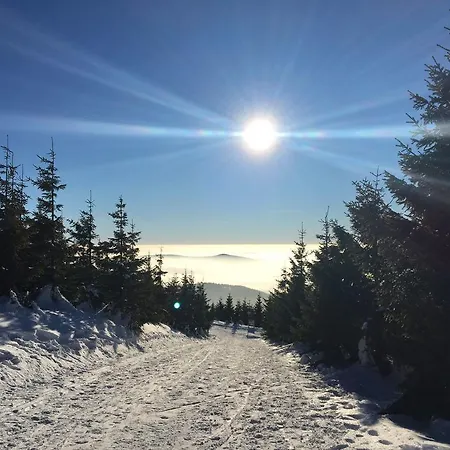 Lucni Dum Lägenhet *