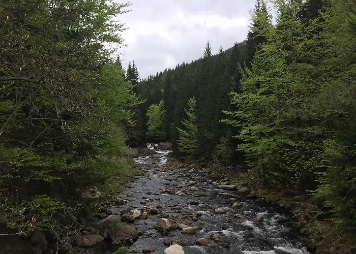 Lucni Dum Appartement *